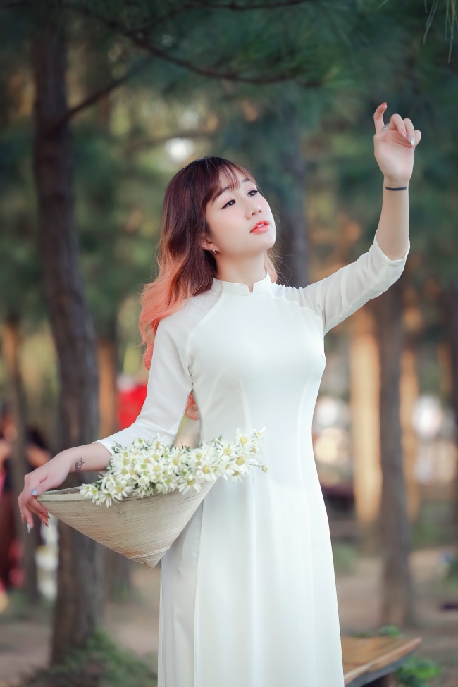 红帘之后